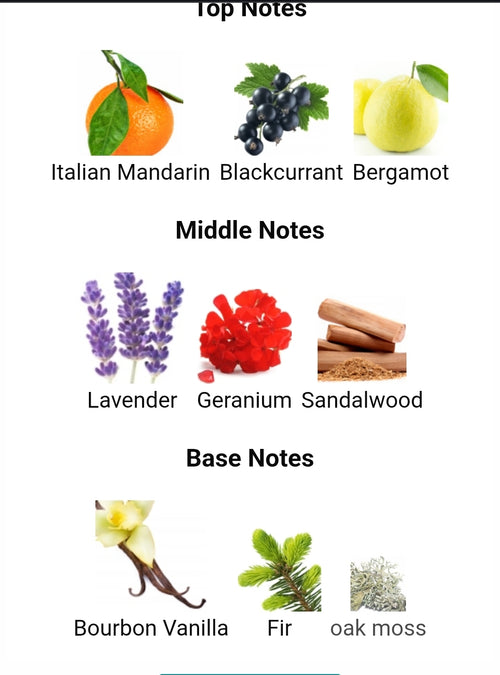 Ralph Lauren Ralph's Club New York FRAGRANCE SAMPLES