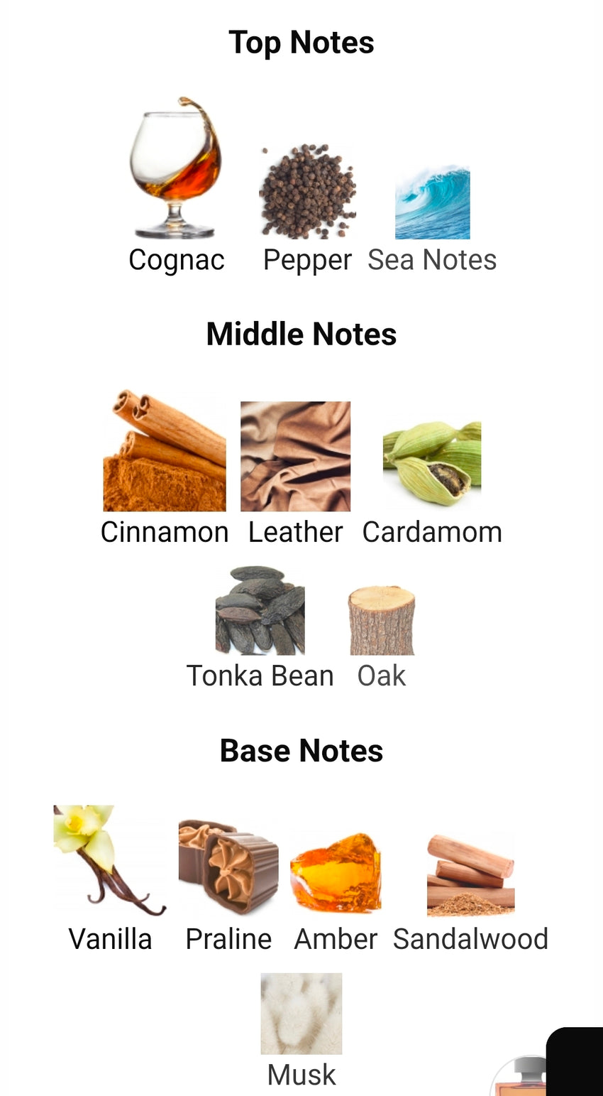 M. Micallef Notorious XO