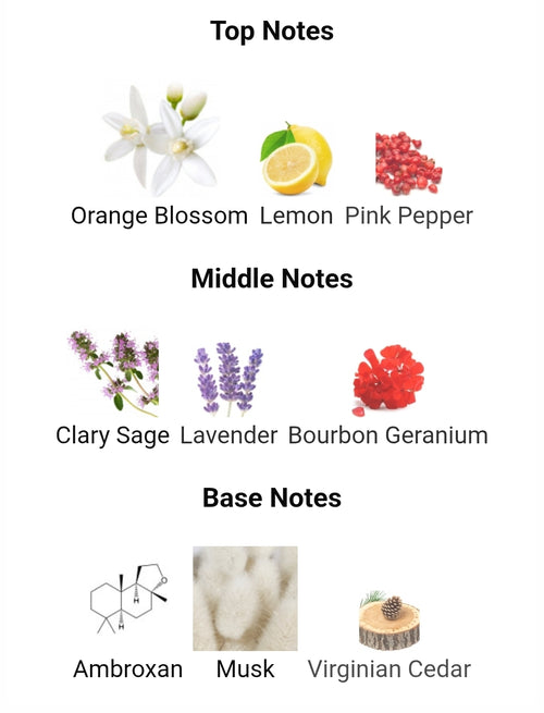 Versace Man Eau Fraiche Extreme Fragrance SAMPLES