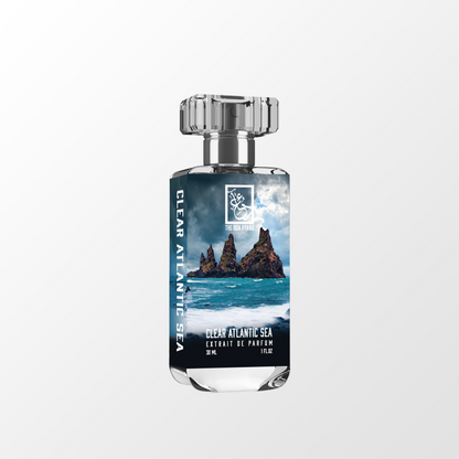 C Dua  C 3ml Decants. C ONLY.  DUAS THAT START WITH C