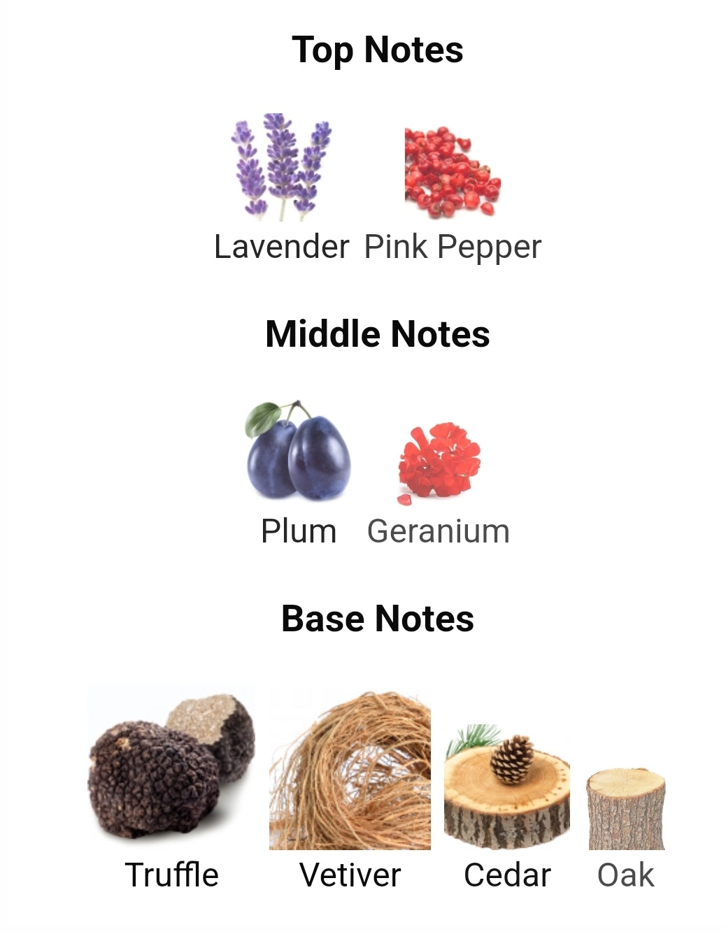 CAROLINA HERRERA Bad Boy Cobalt Parfum Electrique for men – FatBoy Fragrance