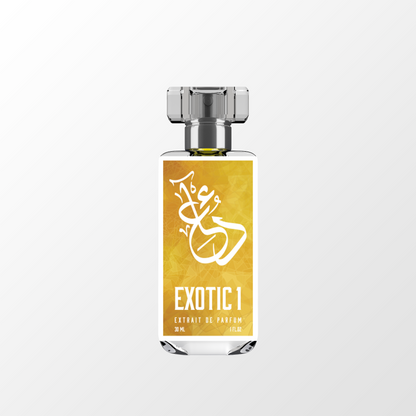 F - G Dua   E Throug  G  Fragrances 3ml Decants